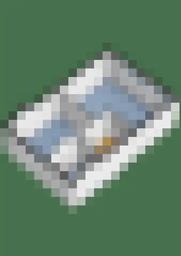 Brugakker 5729 Zeist thumbnail 51