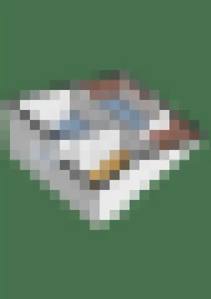 Brugakker 5729 Zeist thumbnail 53