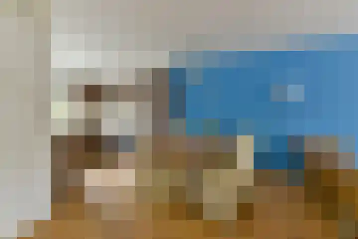 Brugakker 5729 Zeist thumbnail 9