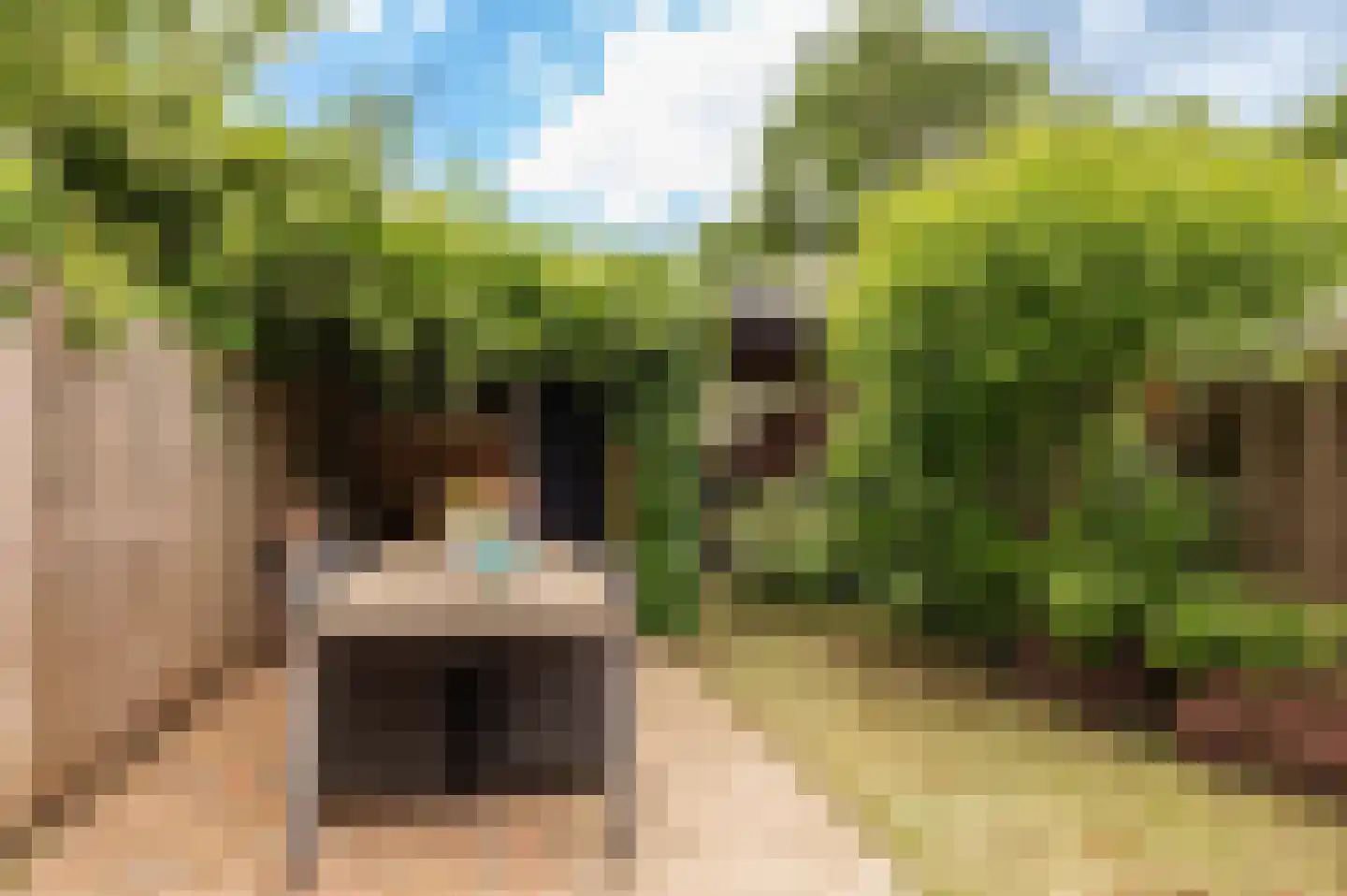Brugakker 5731 Zeist thumbnail 40