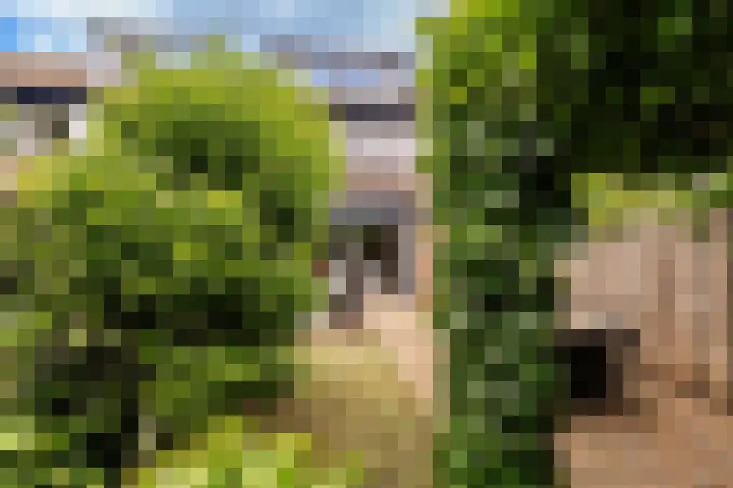Brugakker 5731 Zeist thumbnail 41