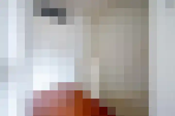 Brugakker 5871 Zeist thumbnail 13