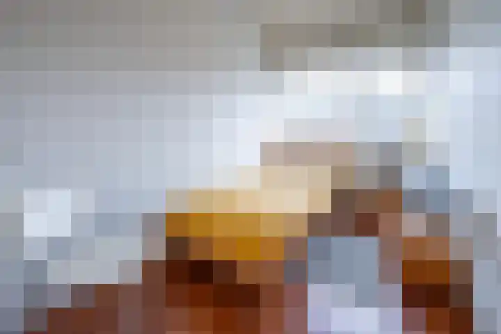 Brugakker 5871 Zeist thumbnail 15