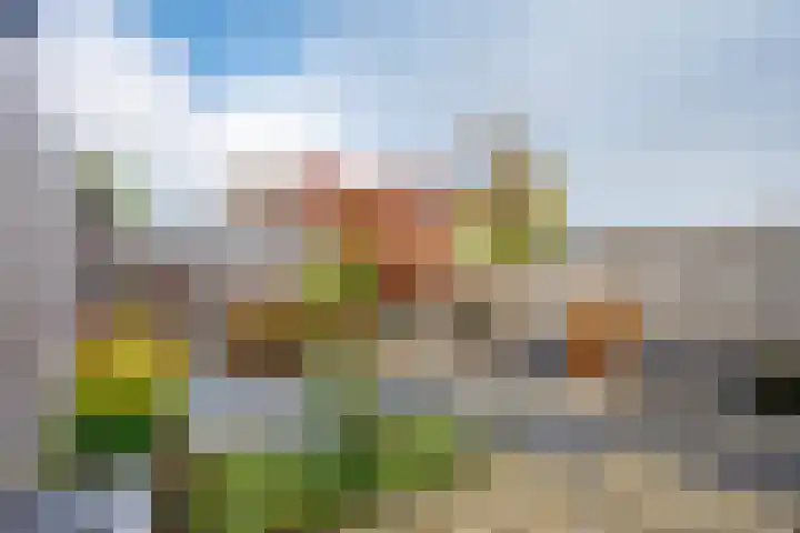Brugakker 5871 Zeist thumbnail 24