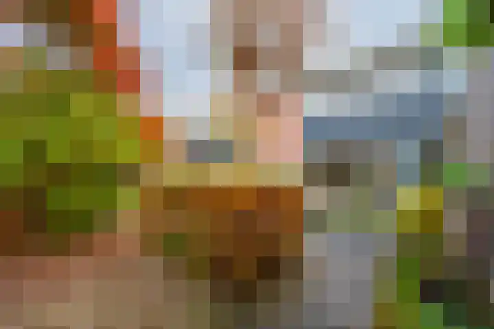 Brugakker 5871 Zeist thumbnail 26
