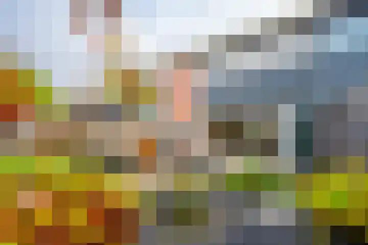 Brugakker 5871 Zeist thumbnail 27