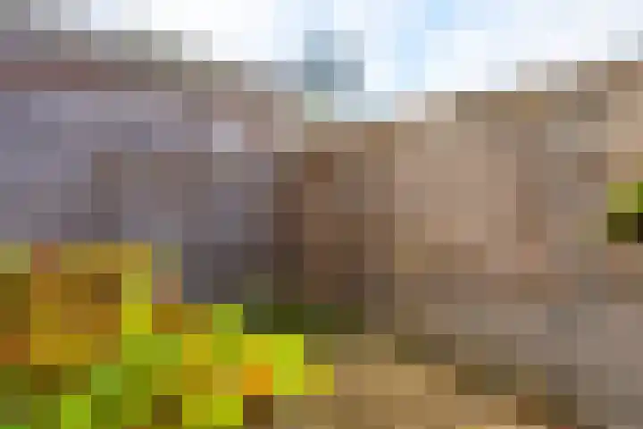 Brugakker 5871 Zeist thumbnail 28