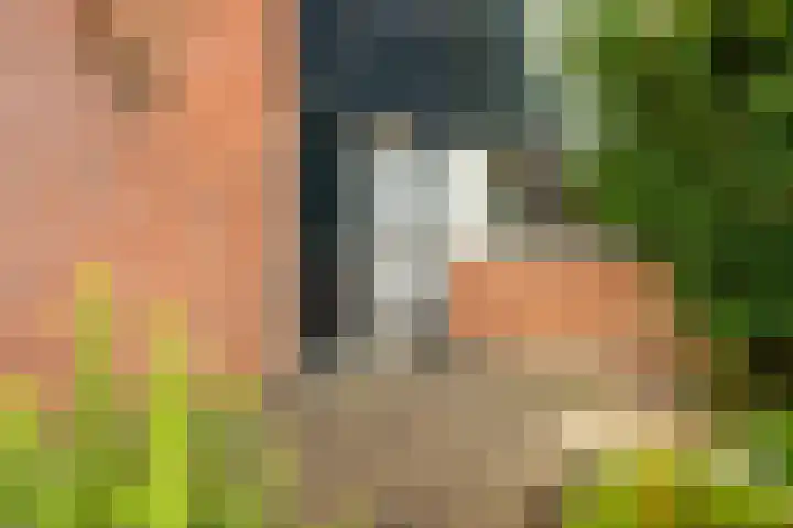 Brugakker 5871 Zeist thumbnail 30