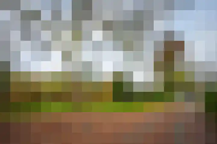 Brugakker 5871 Zeist thumbnail 32