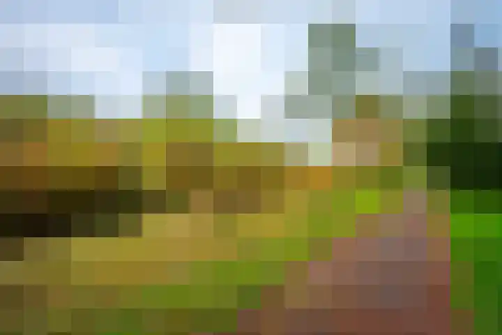 Brugakker 5871 Zeist thumbnail 33