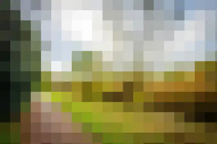 Brugakker 5871 Zeist thumbnail 34