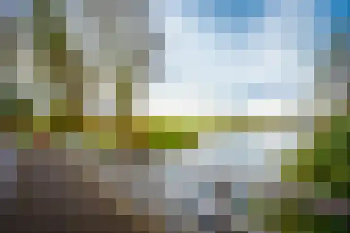 Brugakker 5871 Zeist thumbnail 35