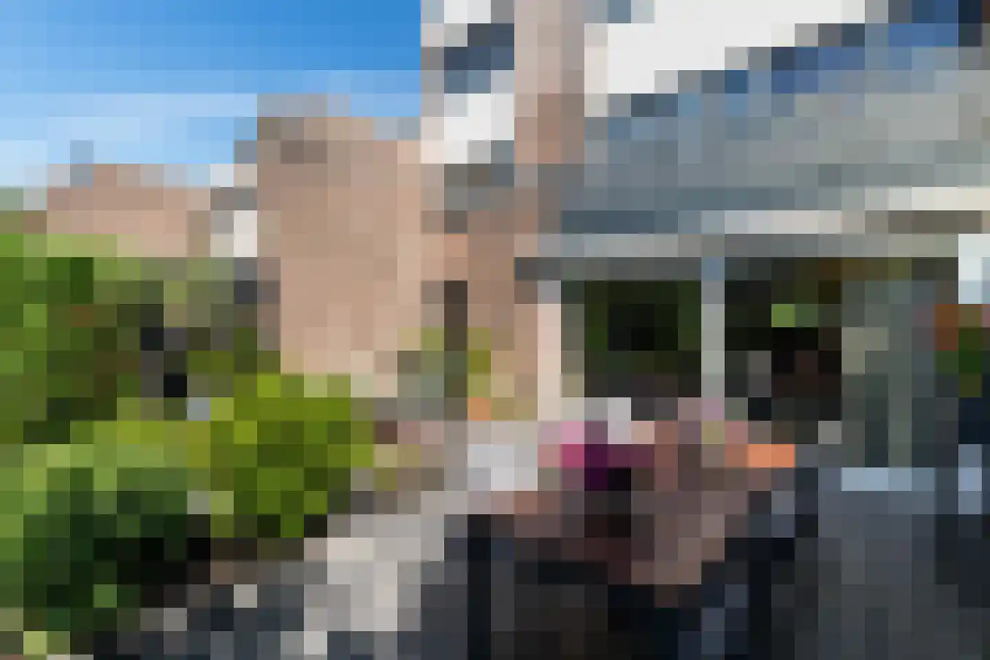 Brugakker 6106 Zeist thumbnail 18