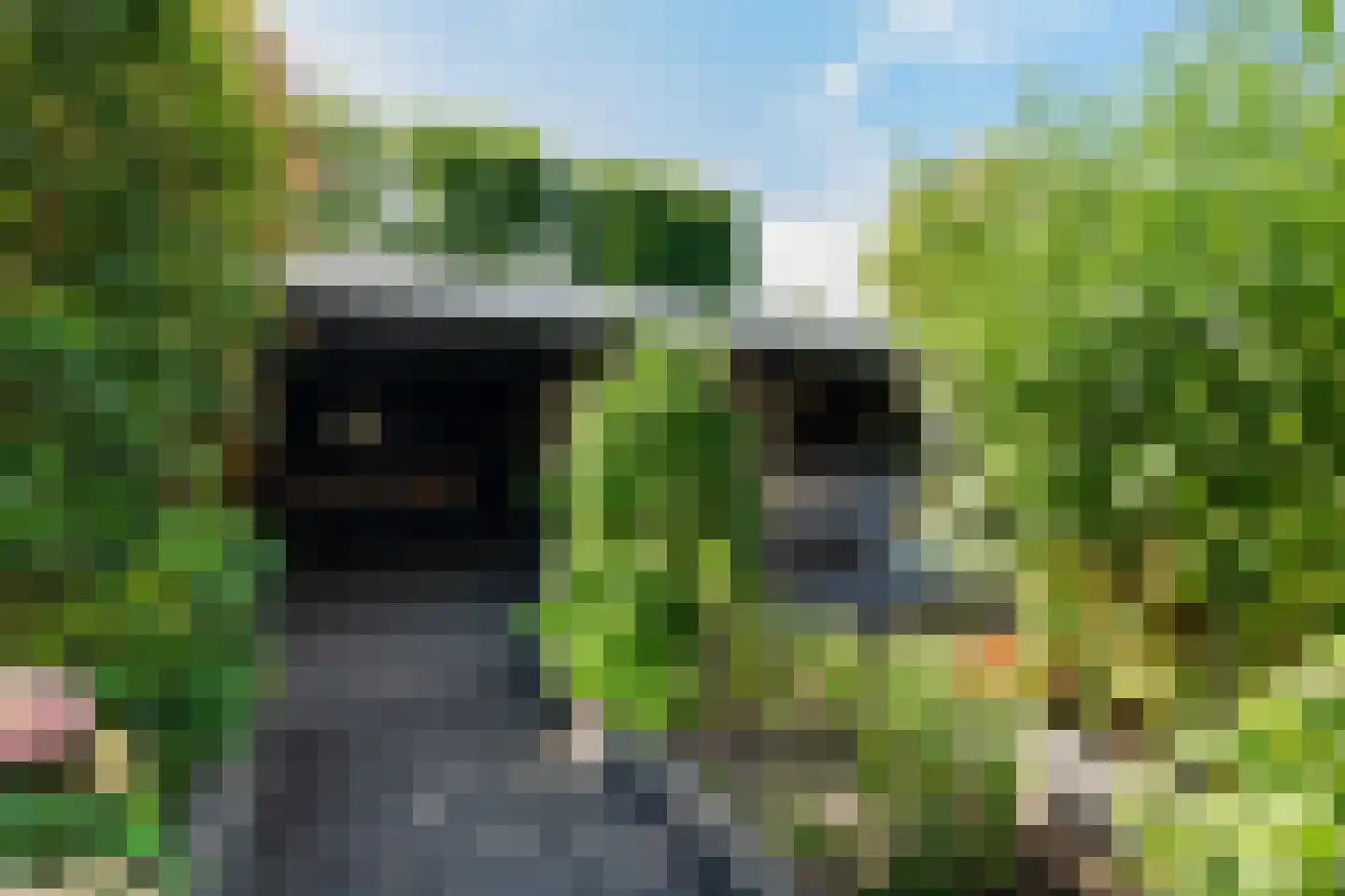 Brugakker 6106 Zeist thumbnail 19