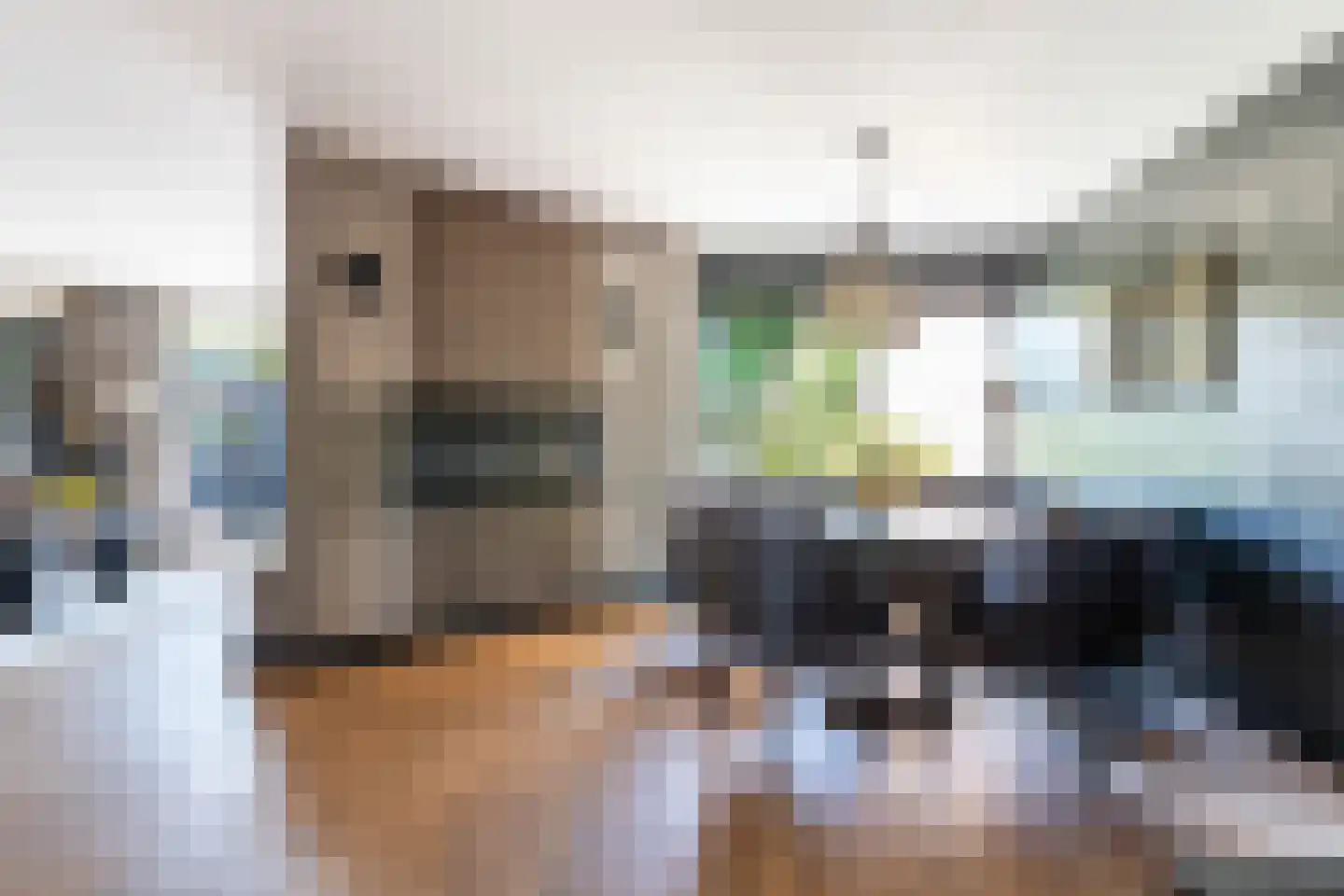 Brugakker 6106 Zeist thumbnail 31