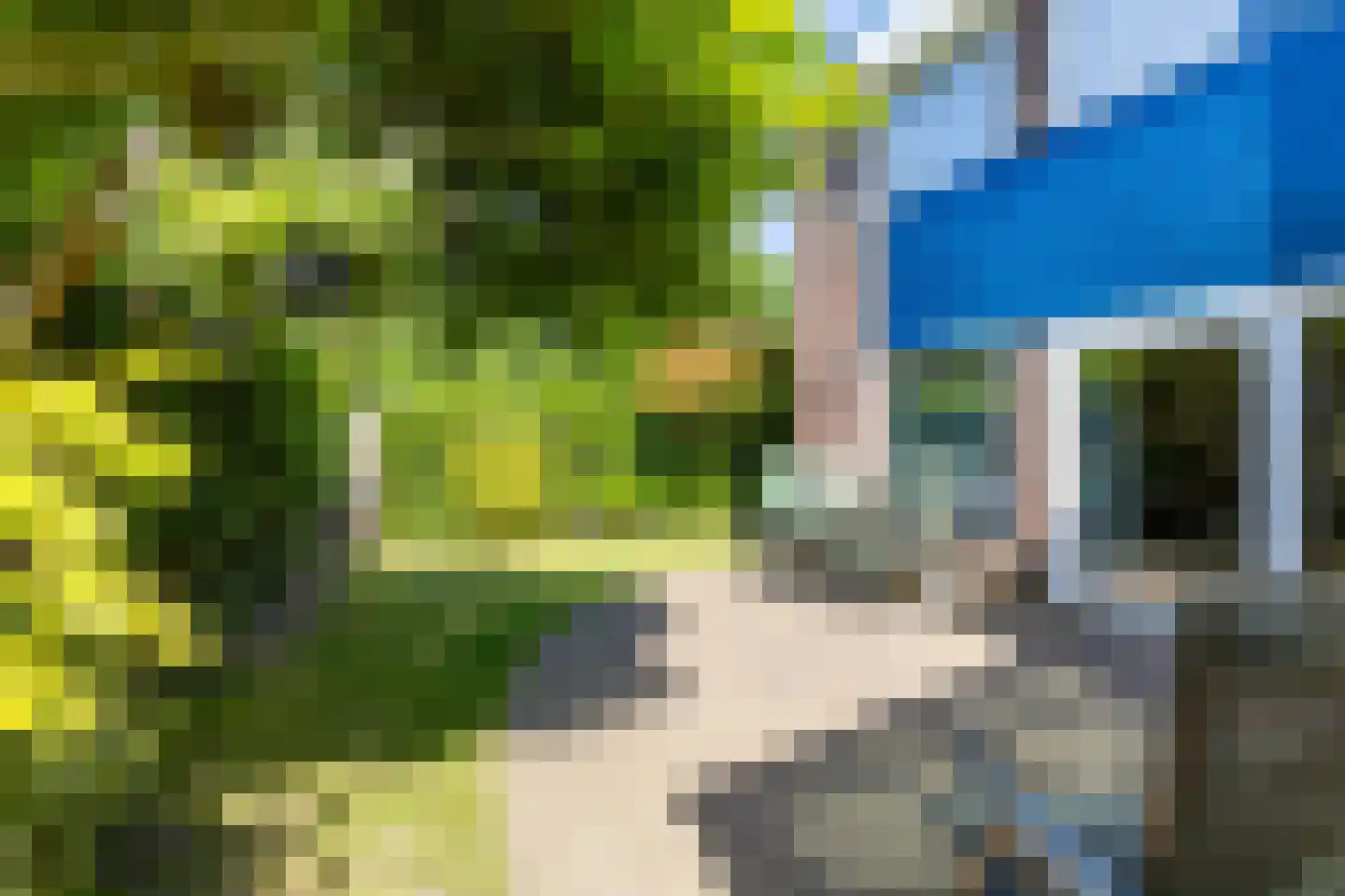 Brugakker 6209 Zeist thumbnail 24