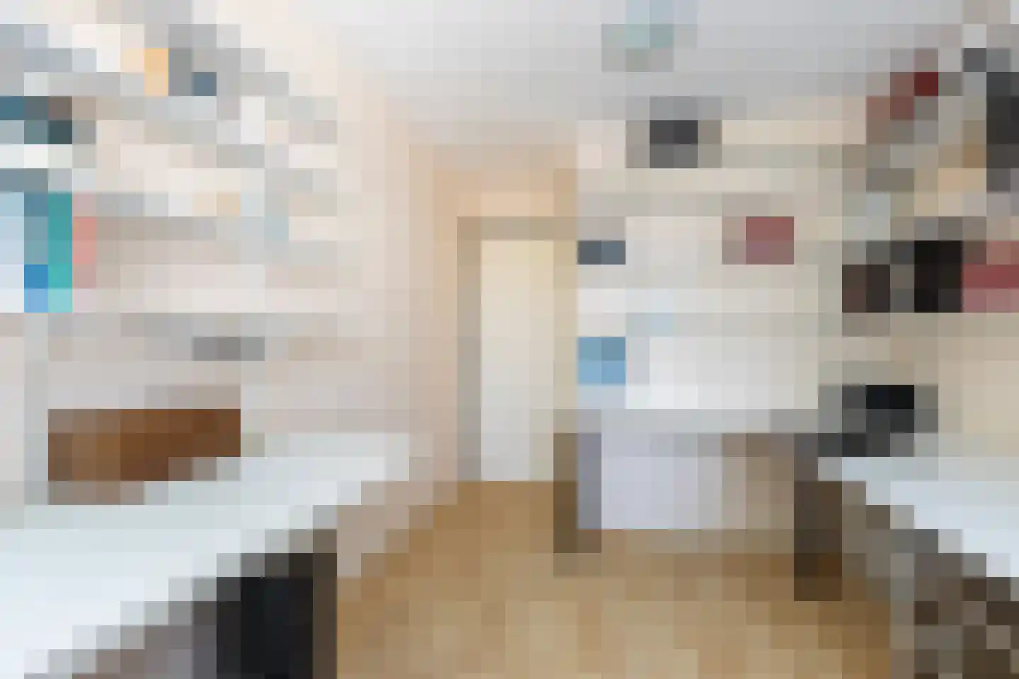 Brugakker 6209 Zeist thumbnail 39