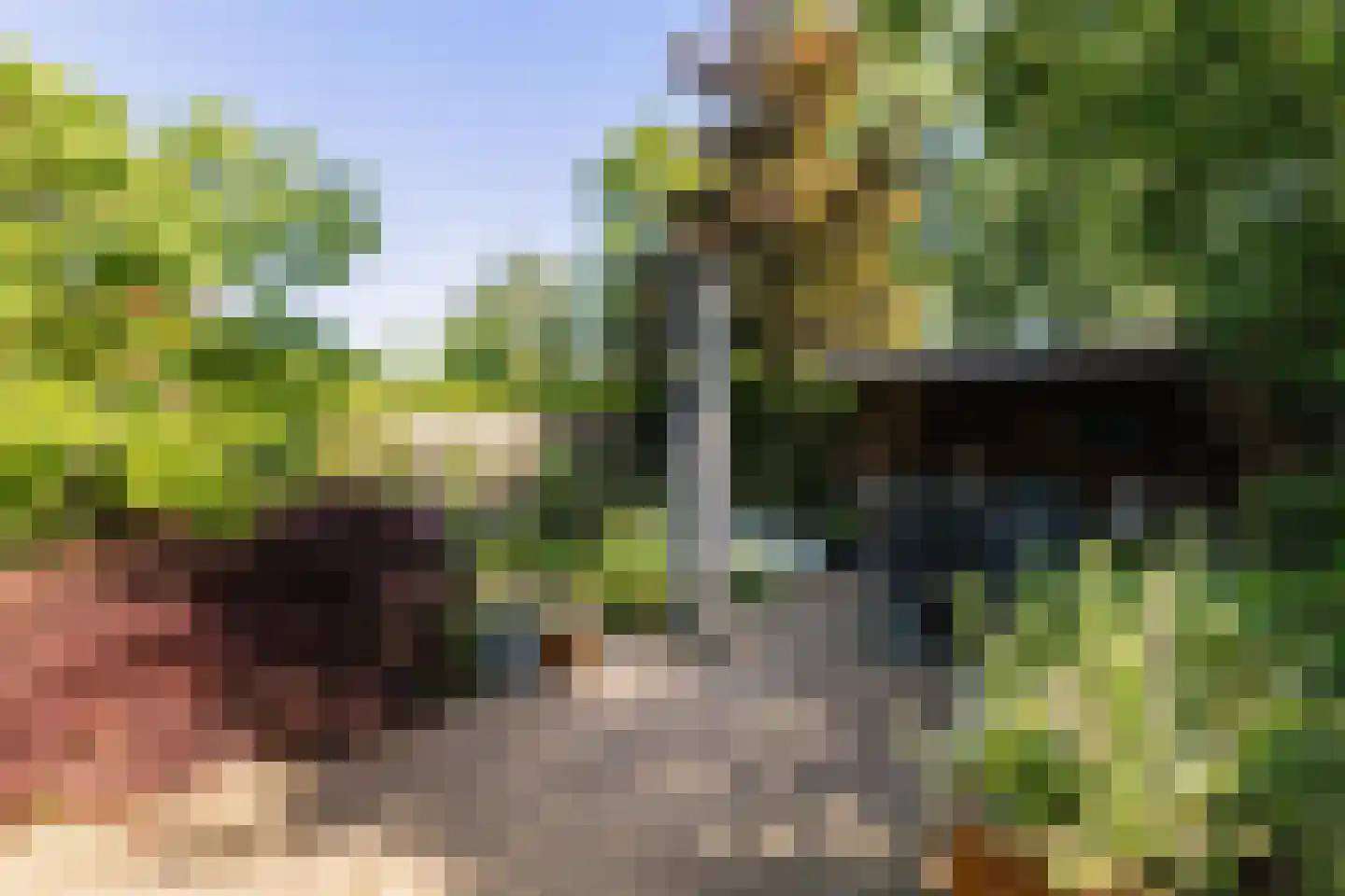 Brugakker 6217 Zeist thumbnail 23