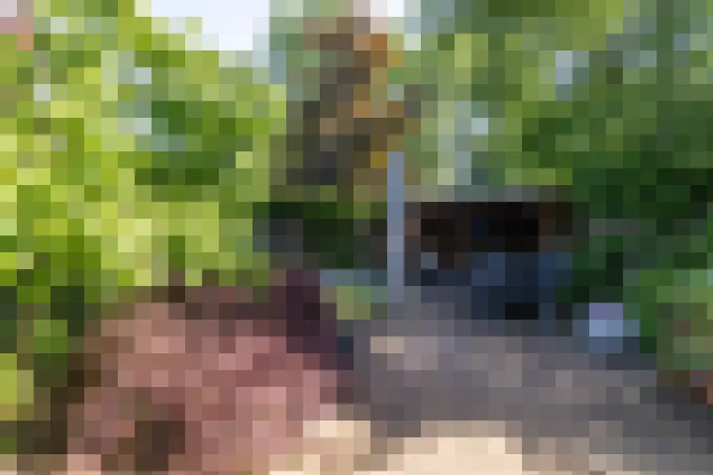 Brugakker 6217 Zeist thumbnail 24