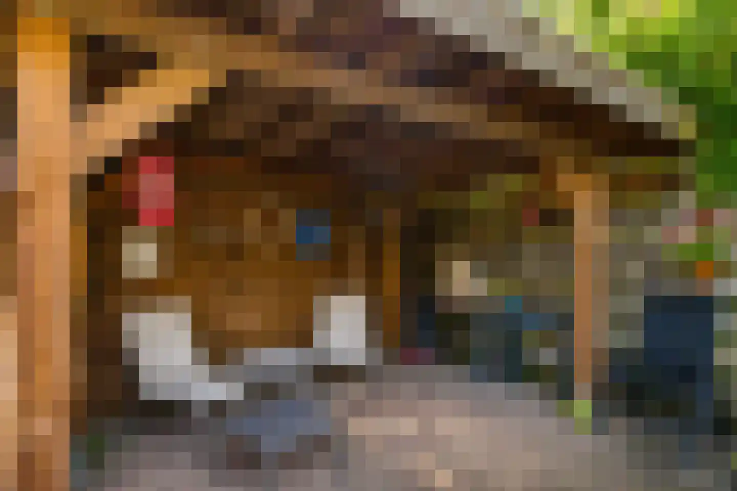 Brugakker 6217 Zeist thumbnail 26