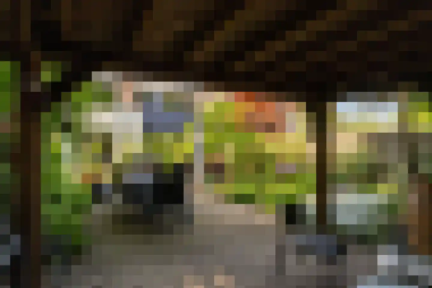 Brugakker 6217 Zeist thumbnail 27