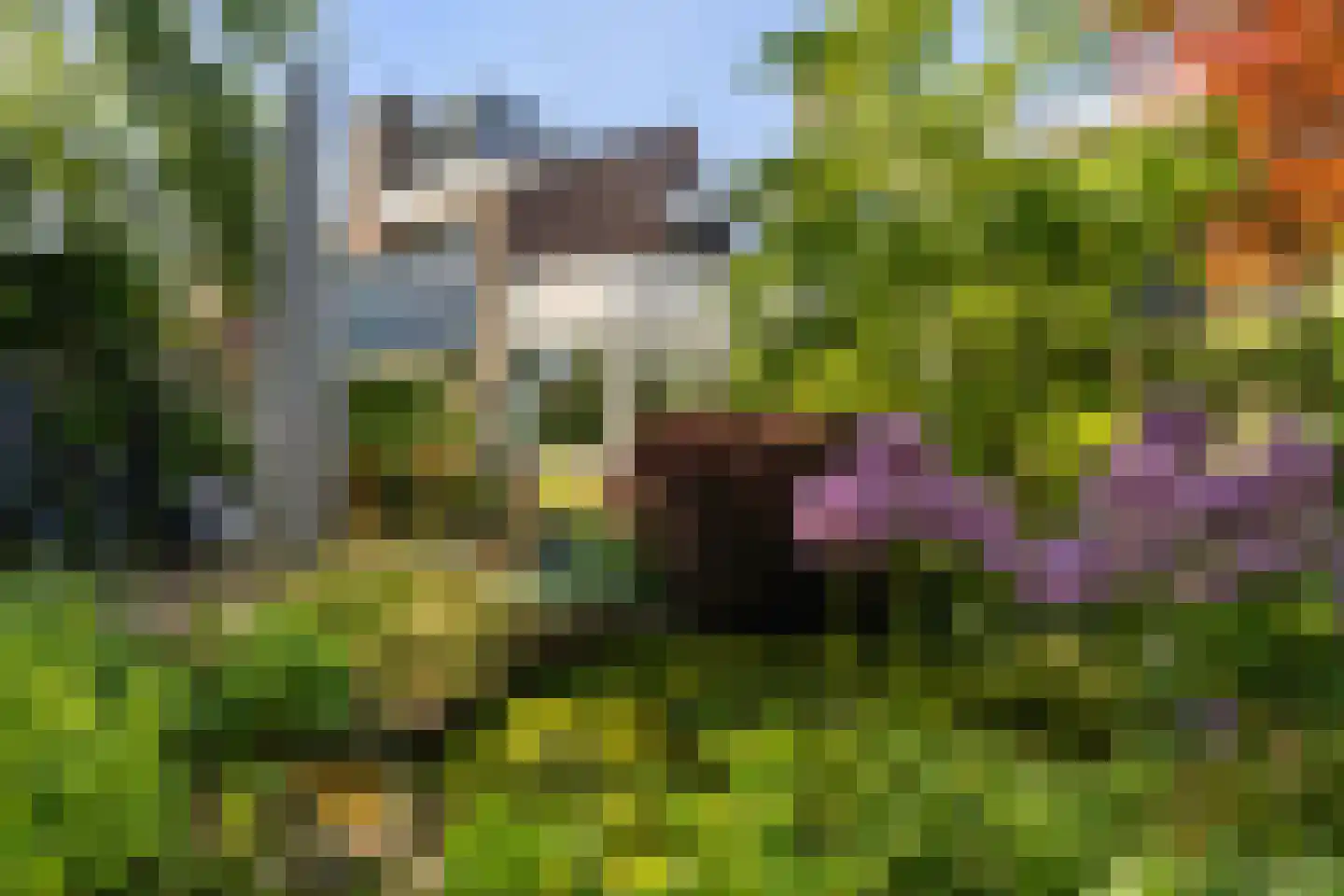 Brugakker 6217 Zeist thumbnail 28