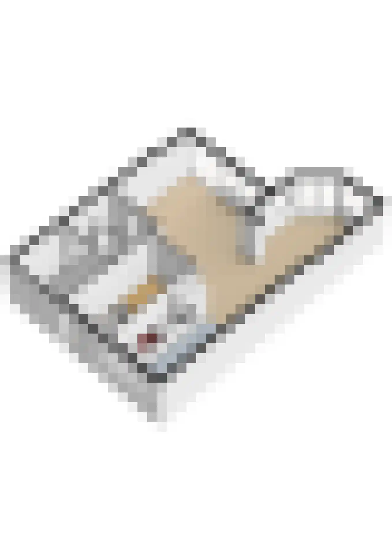 Brugakker 6217 Zeist thumbnail 60