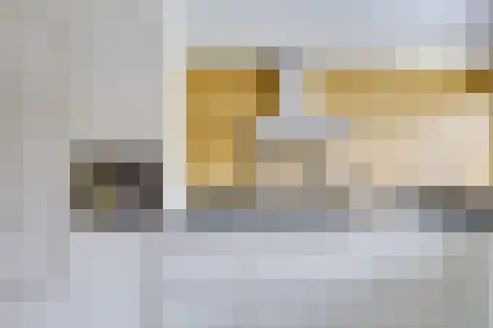 Brugakker 6221 Zeist thumbnail 11