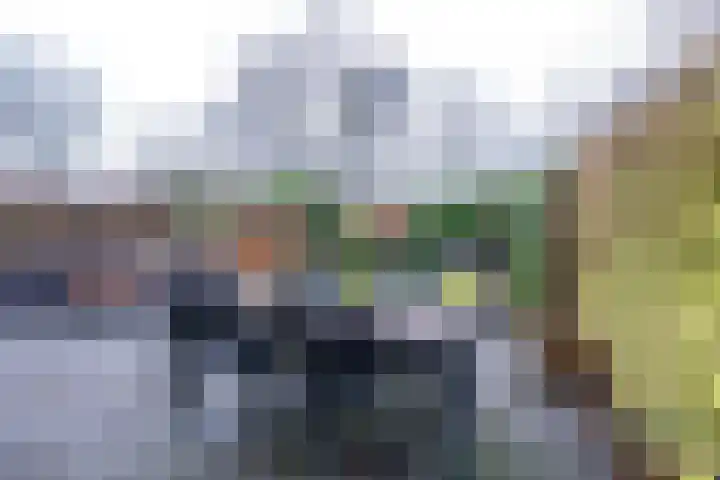 Brugakker 6221 Zeist thumbnail 20