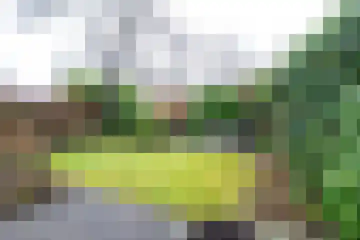 Brugakker 6221 Zeist thumbnail 22