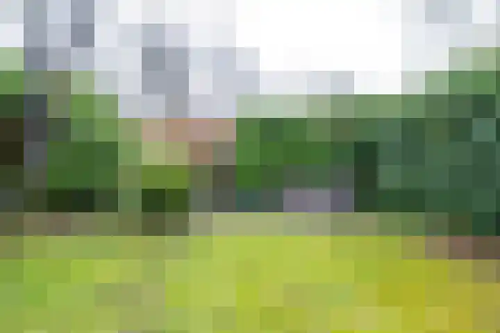 Brugakker 6221 Zeist thumbnail 23