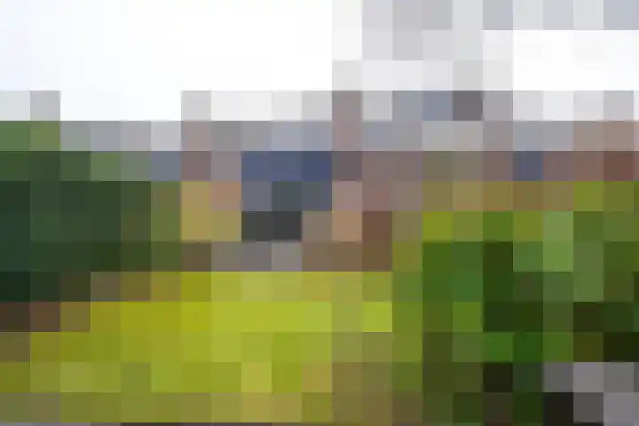Brugakker 6221 Zeist thumbnail 24
