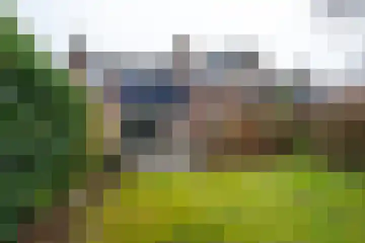 Brugakker 6221 Zeist thumbnail 25