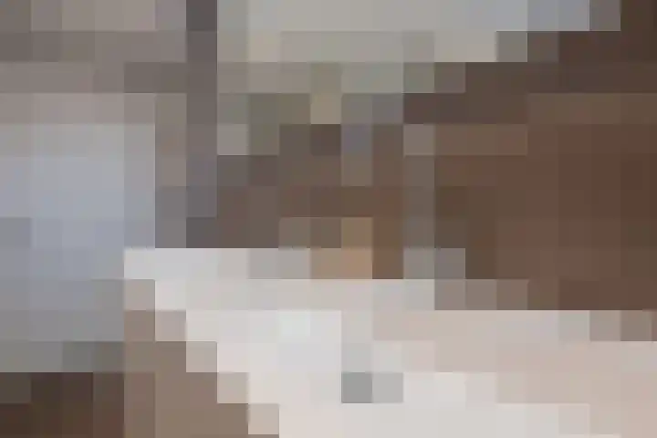 Brugakker 6221 Zeist thumbnail 42