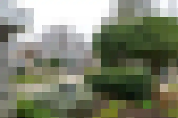 Brugakker 6221 Zeist thumbnail 47
