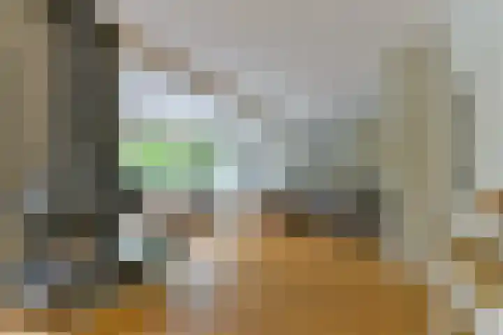 Brugakker 6223 Zeist thumbnail 10