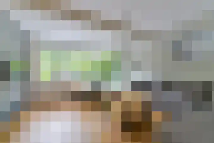 Brugakker 6223 Zeist thumbnail 12