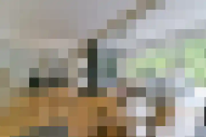 Brugakker 6223 Zeist thumbnail 14