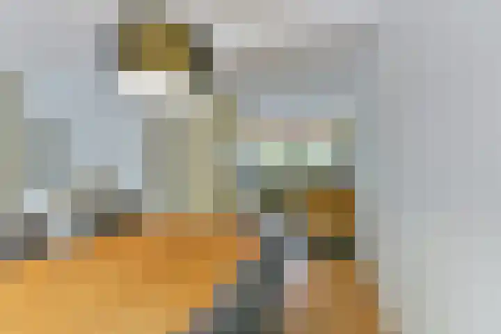 Brugakker 6223 Zeist thumbnail 17