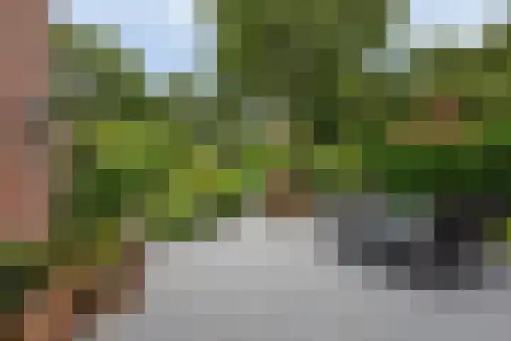 Brugakker 6223 Zeist thumbnail 22