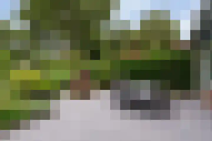 Brugakker 6223 Zeist thumbnail 23