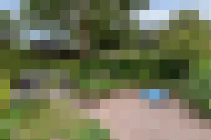 Brugakker 6223 Zeist thumbnail 24