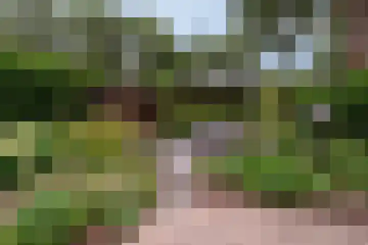 Brugakker 6223 Zeist thumbnail 25