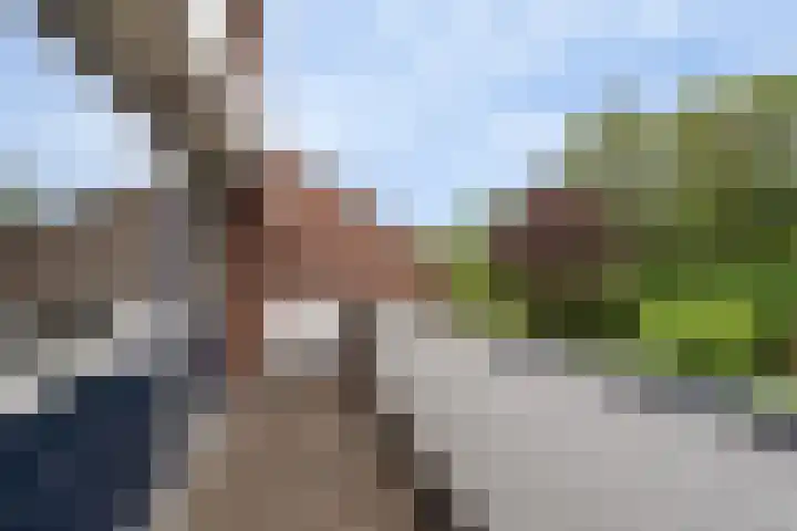 Brugakker 6223 Zeist thumbnail 33