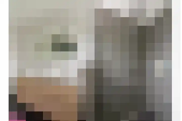Brugakker 6223 Zeist thumbnail 43
