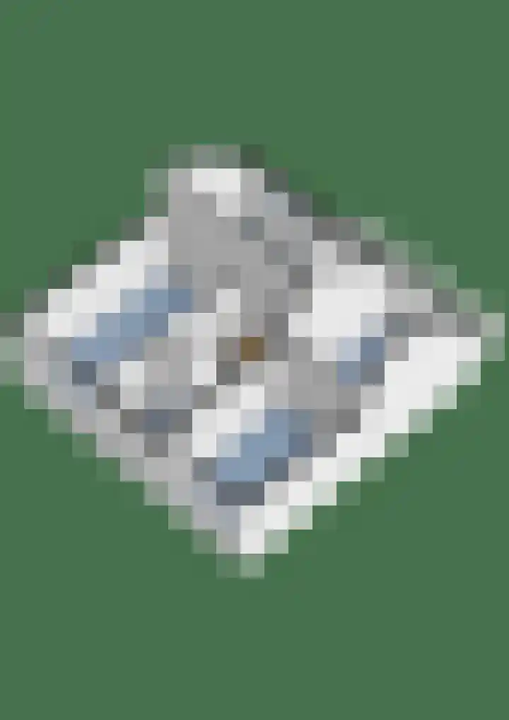 Brugakker 6223 Zeist thumbnail 49