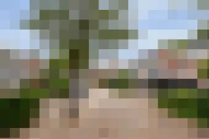 Brugakker 6223 Zeist thumbnail 6