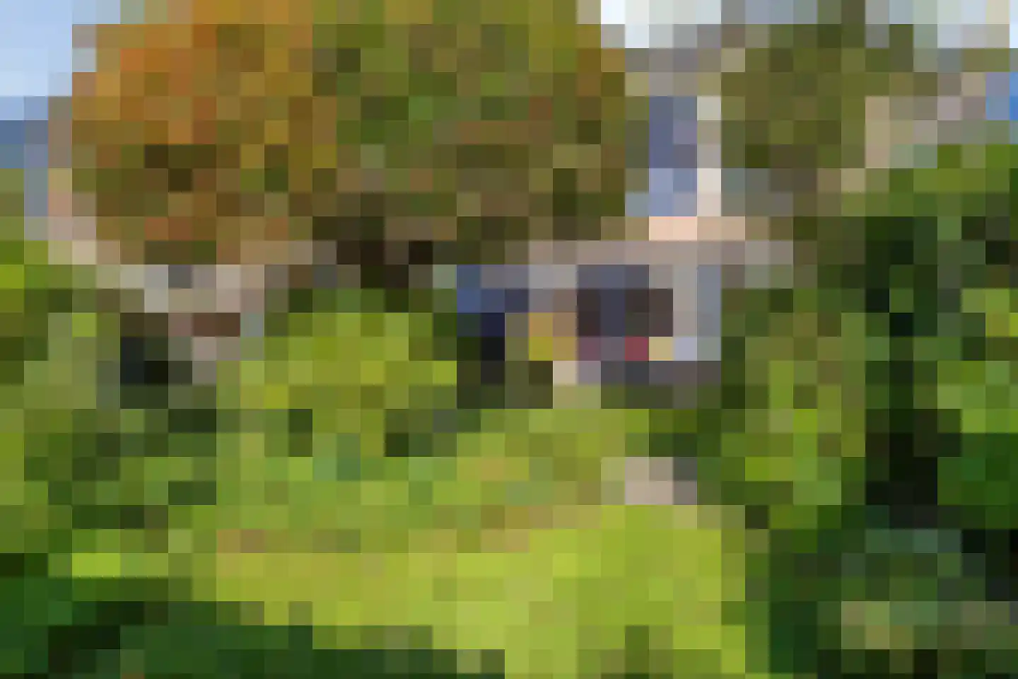 Brugakker 6303 Zeist thumbnail 34