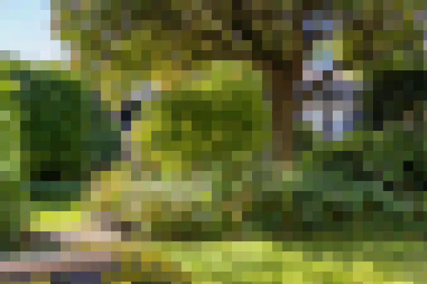 Brugakker 6303 Zeist thumbnail 35