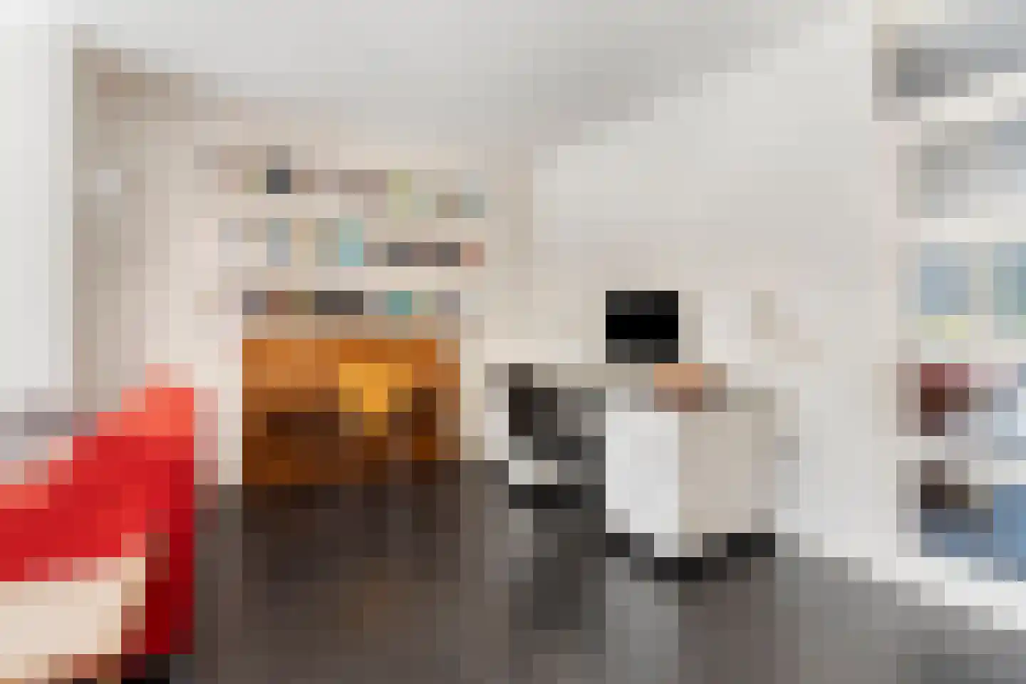 Brugakker 6303 Zeist thumbnail 8